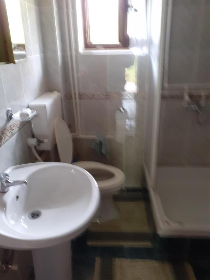 Studio Apartman Jelena Zaovine Εξωτερικό φωτογραφία