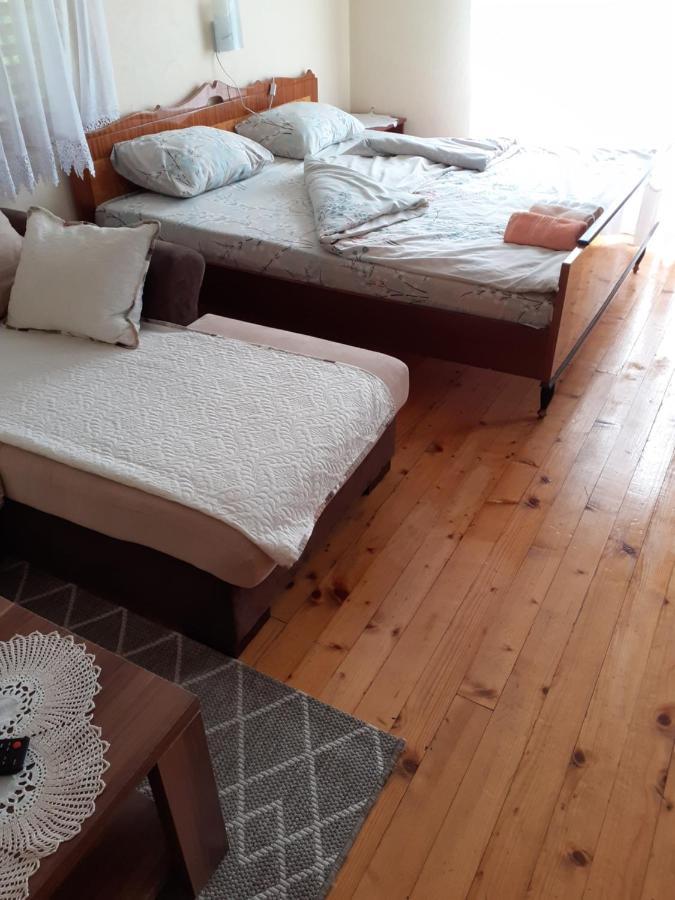 Studio Apartman Jelena Zaovine Εξωτερικό φωτογραφία
